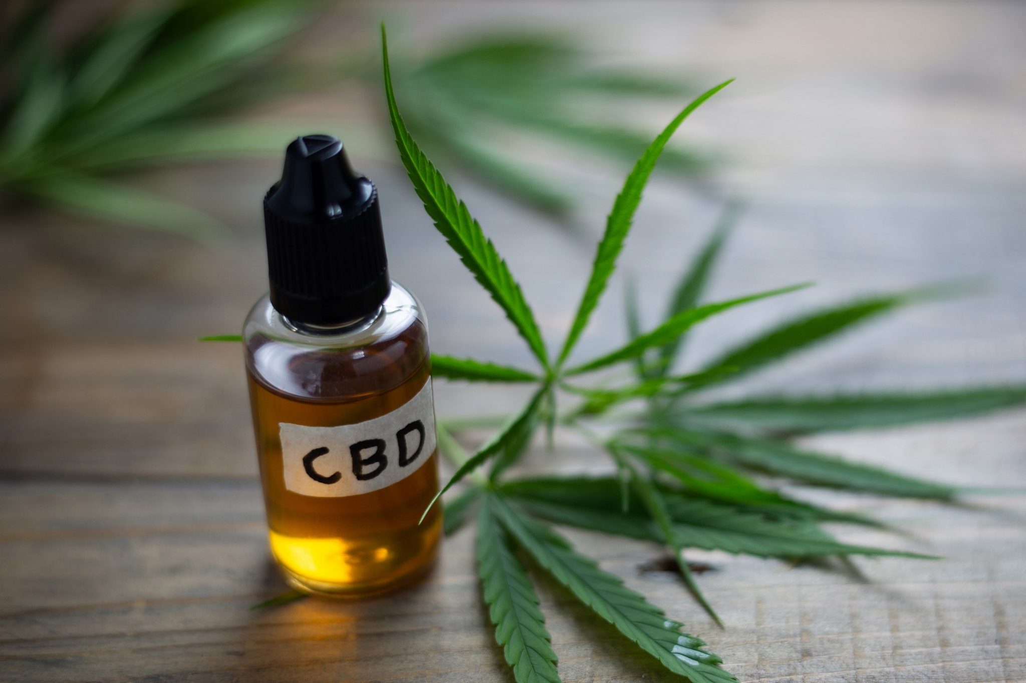 A Look at CBD and Its Effect on Your Metabolism